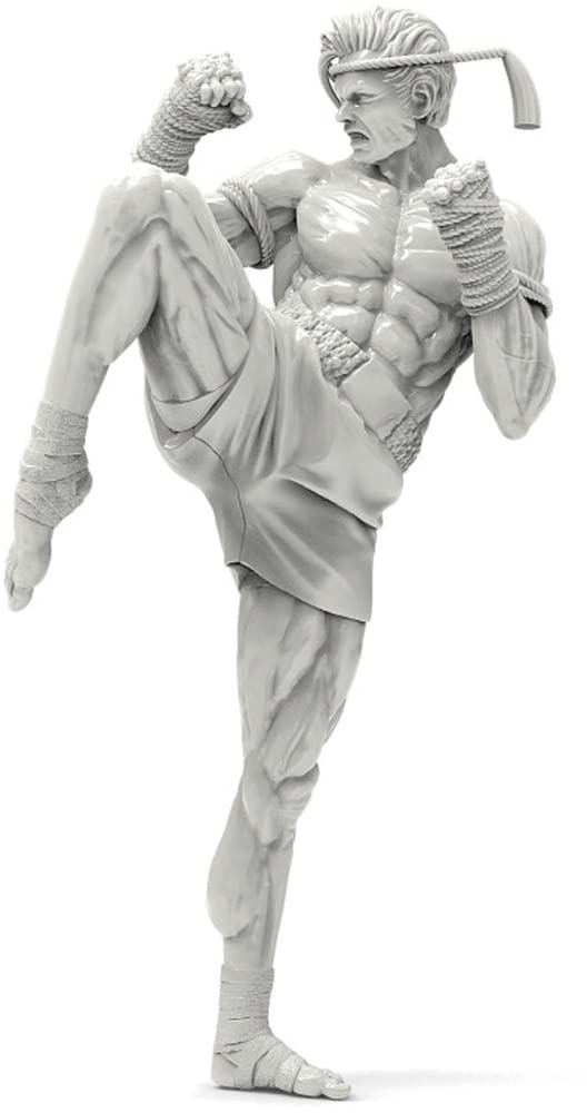 Amazon | トリファクトリー 1/24 ミニチュアフィギュアシリーズ 格闘技